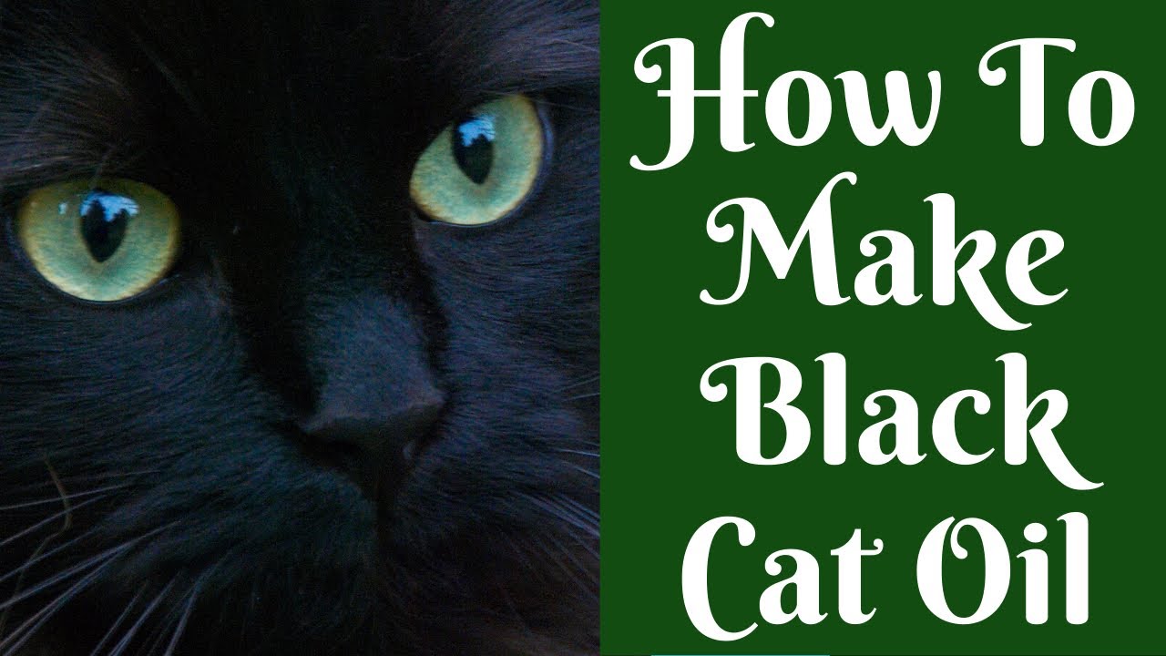 Oils & Potions: How To Make Black Cat Oil