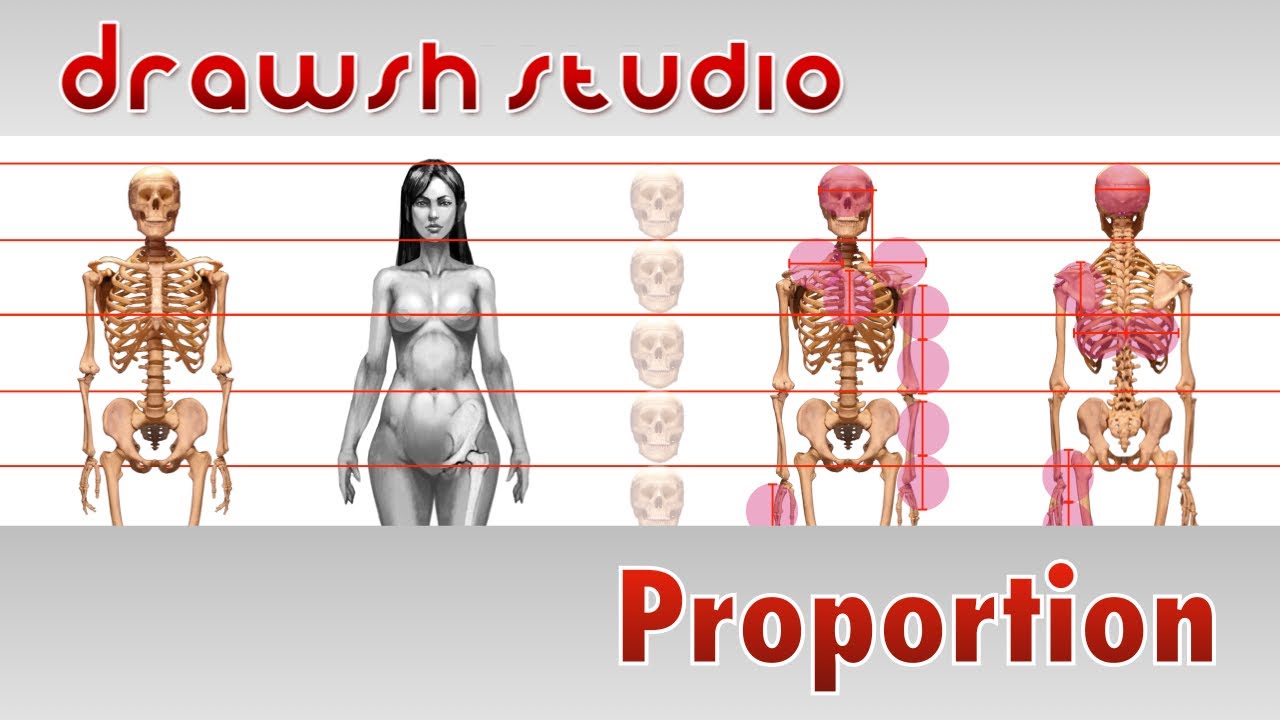 Proportion of the Figure