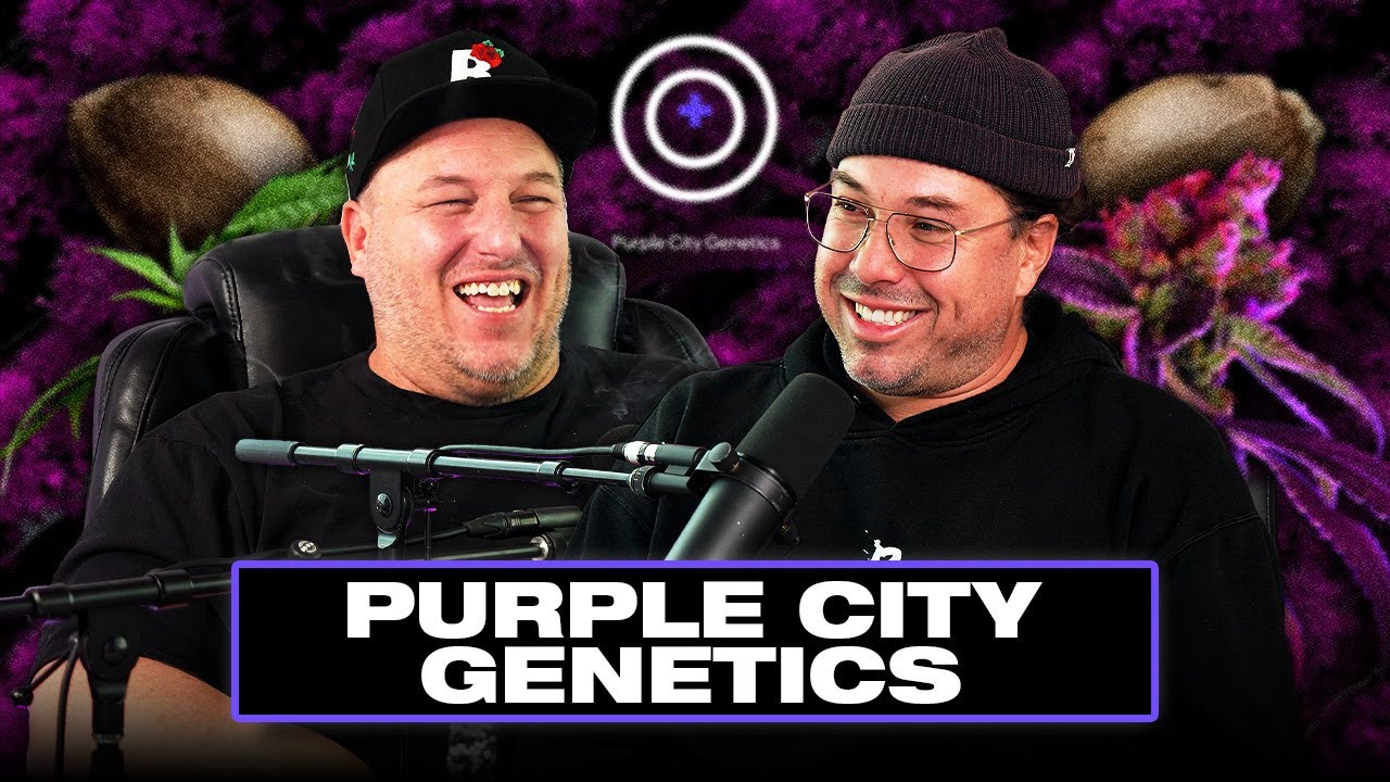 Purple City Genetics: Clone Business Make or Break, Family Smuggling, Genetic Rollercoasters, Purps