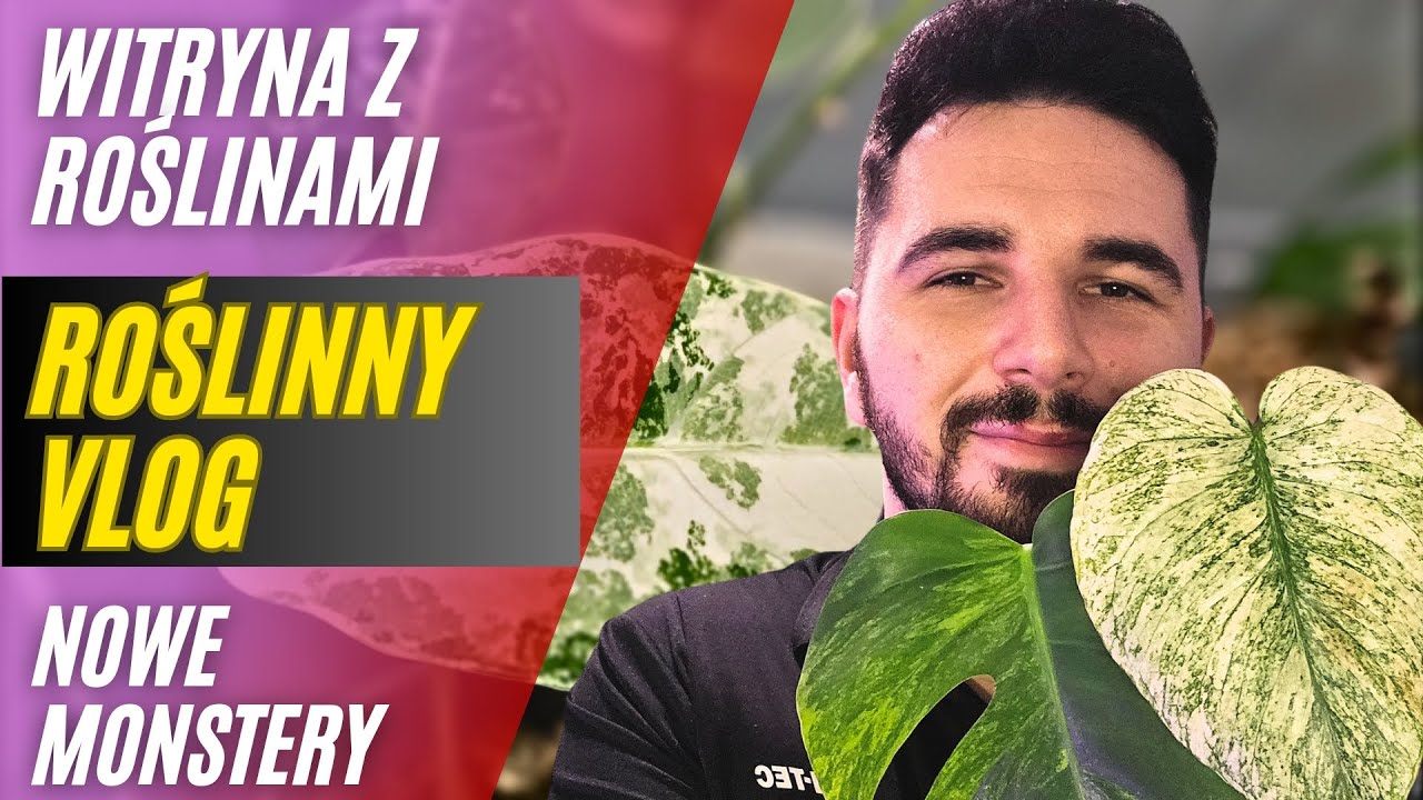 Roślinny VLOG 🌿 Przegląd witryny | Aktualizacje roślin doniczkowych | Nowe kolekcjonerskie monstery🤩