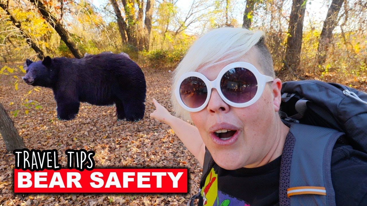 Travel Tips Bear Safety | What To DO and NOT DO When Encountering A Bear