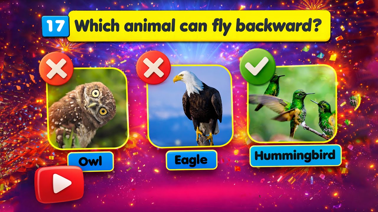 1.General Knowledge Questions for Kids | Guessing Game Quiz 🧠