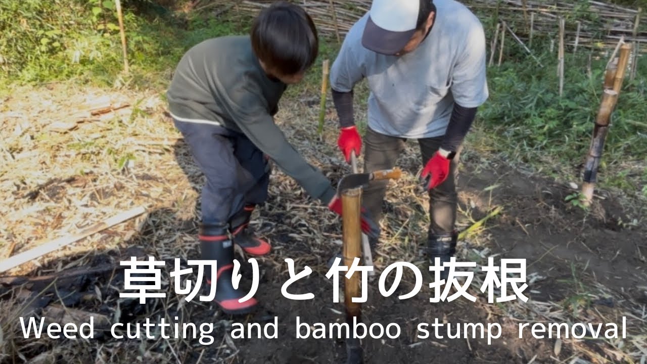 #００１草刈りと竹の抜根＊去年の10月頃から2024年に引き続き竹林整備をしました｡今回は間もなく訪れる春に向けてしっかりと作業しました｡いつかユンボも入れたいのでその下準備も兼ねて頑張りました｡