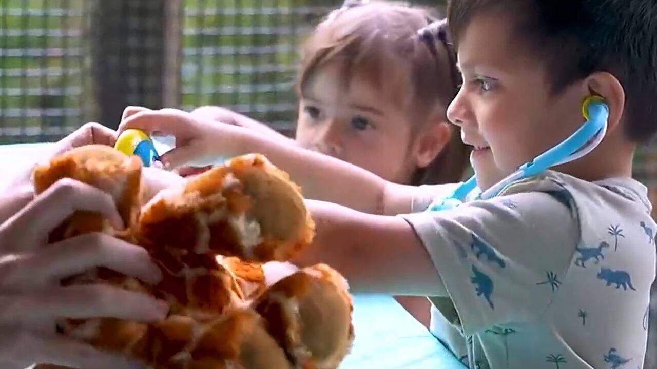 Dickerson Park Zoo, Children&rsquo;s Mercy host Teddy Bear Rally