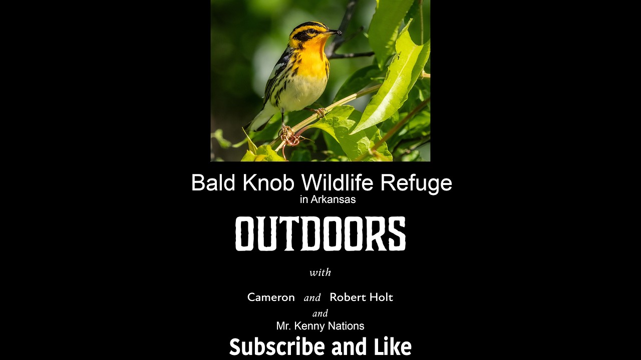 Outdoors With Cameron and Robert Holt 