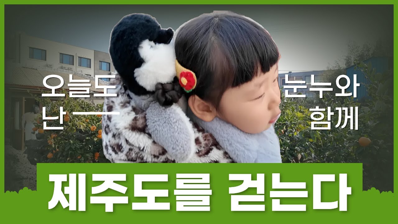 🍊 제주 식도락 가족여행 코스 추천 👶 오성 갈치조림·올레시장·귤밭사진관·주상절리 한 번에!