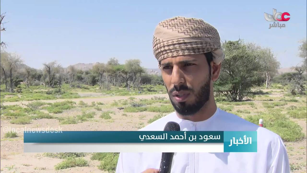 وادي نام بولاية القابل مروج خضراء ممتده بعد هطول الأمطار