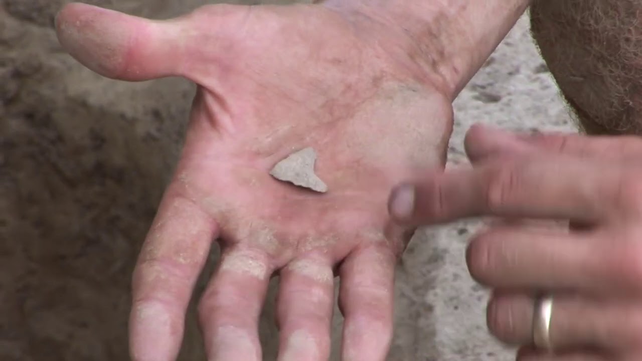 Young Jamestown colonist likely killed in combat with Virginia Indians: A look back