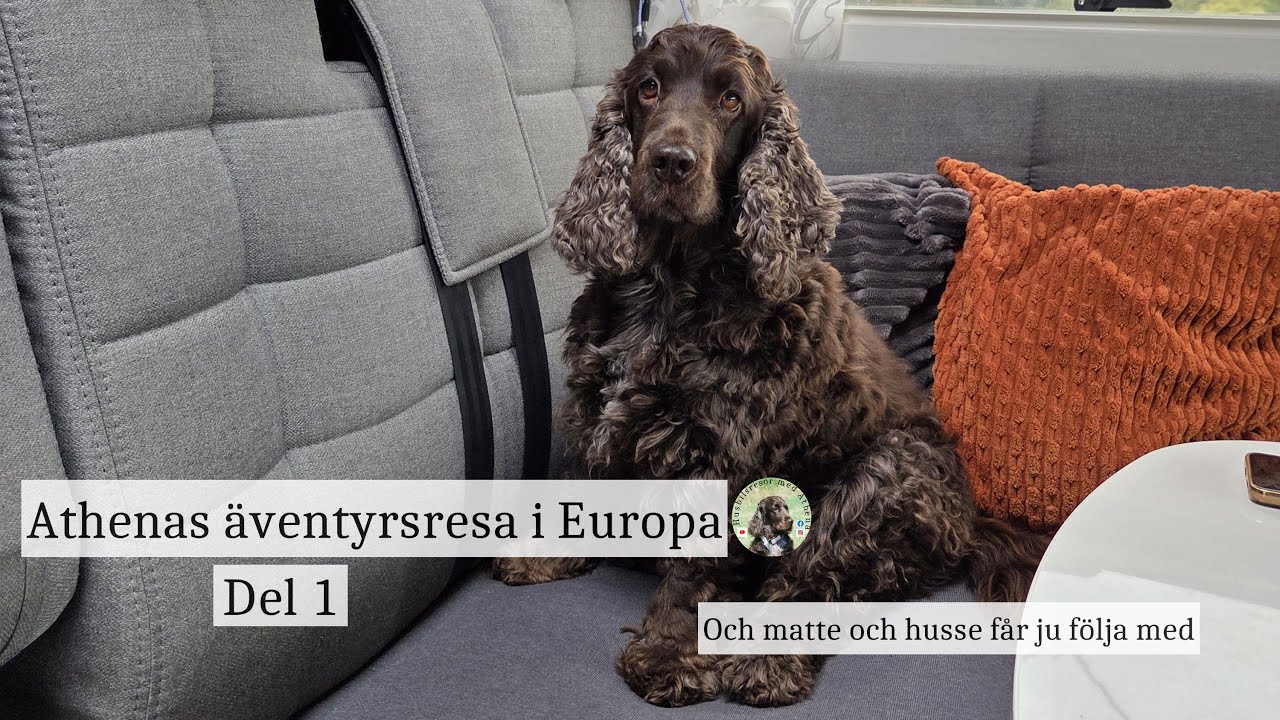 Athenas äventyrsresa i Europa