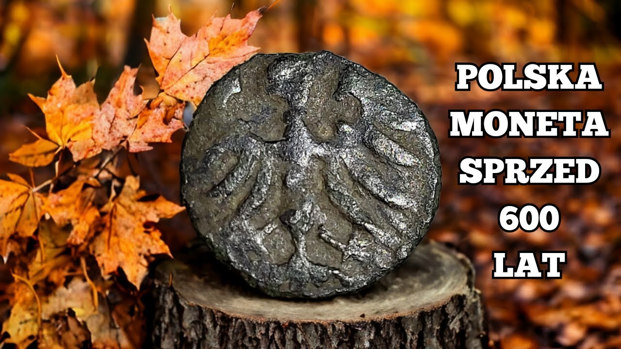 POLSKI DENAR! Walczyłem do samego końca na polu i mam srebrne monety!