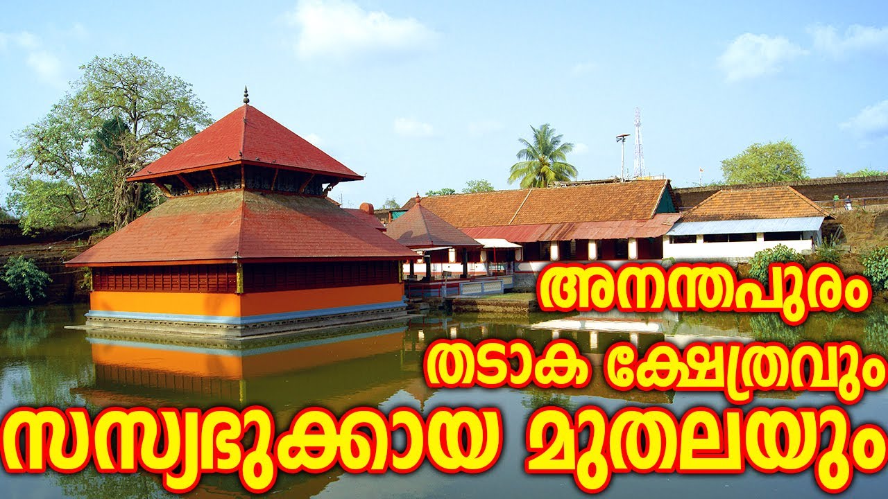 ബബിയ- ലോകത്തിലെ ഏക സസ്യഭുക്കായ മുതല | Babiya crocodile | Ananthapura Temple And Vegetarian Crocodile