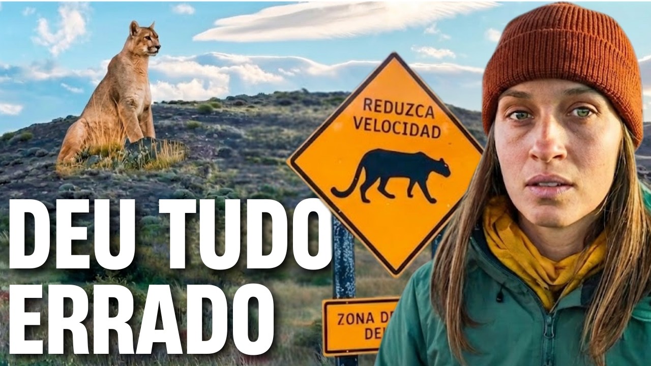 PROCURANDO PUMAS NA PATAGÔNIA