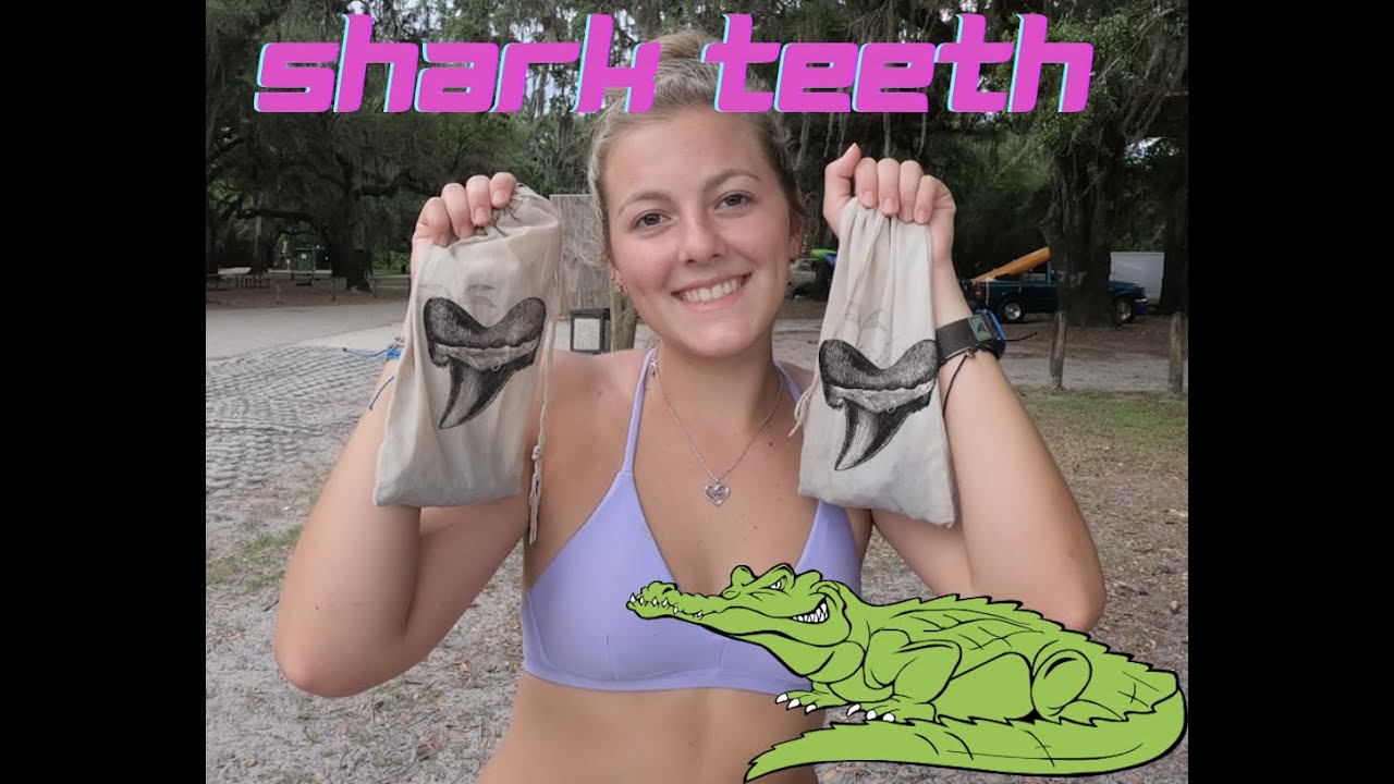 Shark Teeth & Fossil Hunting! Alligator Infested Peace River