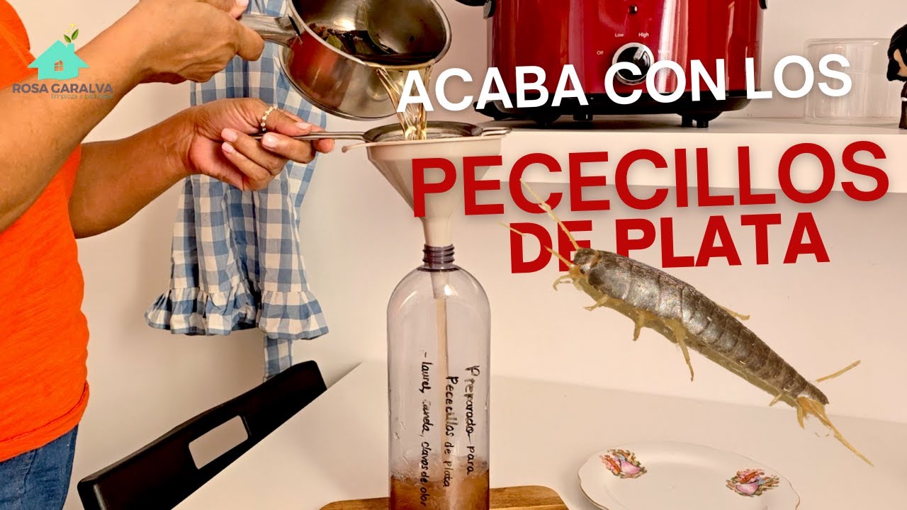Pececillos de plata, Cómo evitarlos en casa