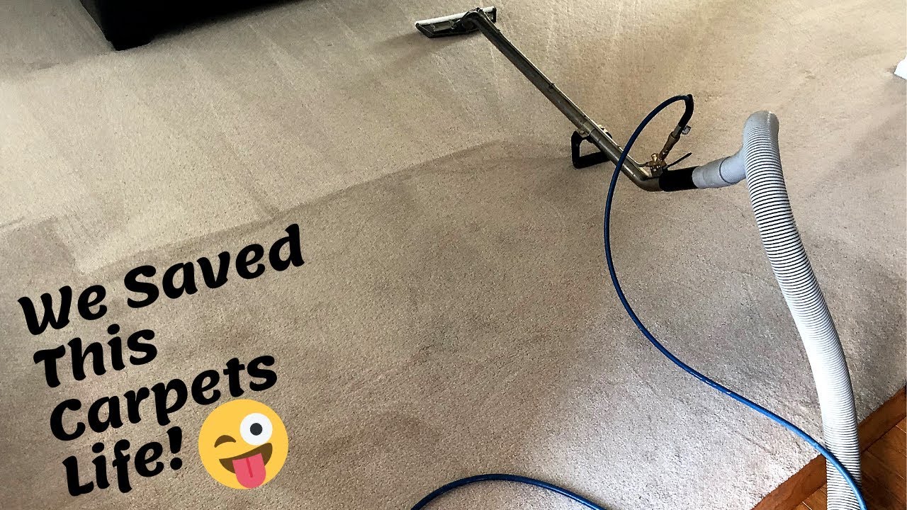 Cleaning a 20 year old Carpet