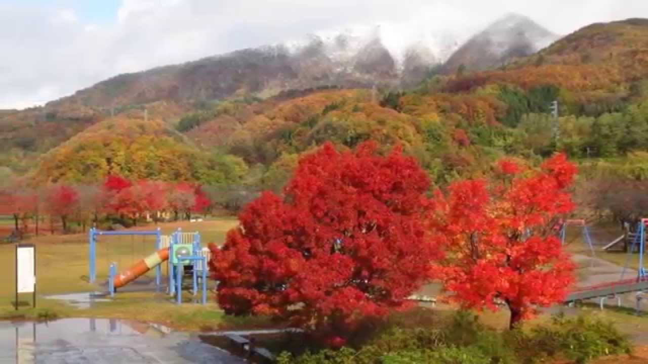 日本大東北賞楓7日