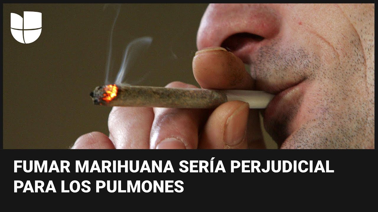 Estudio revela que fumar marihuana es m&aacute;s grave de lo que se piensa: da&ntilde;o pulmonar puede ser severo