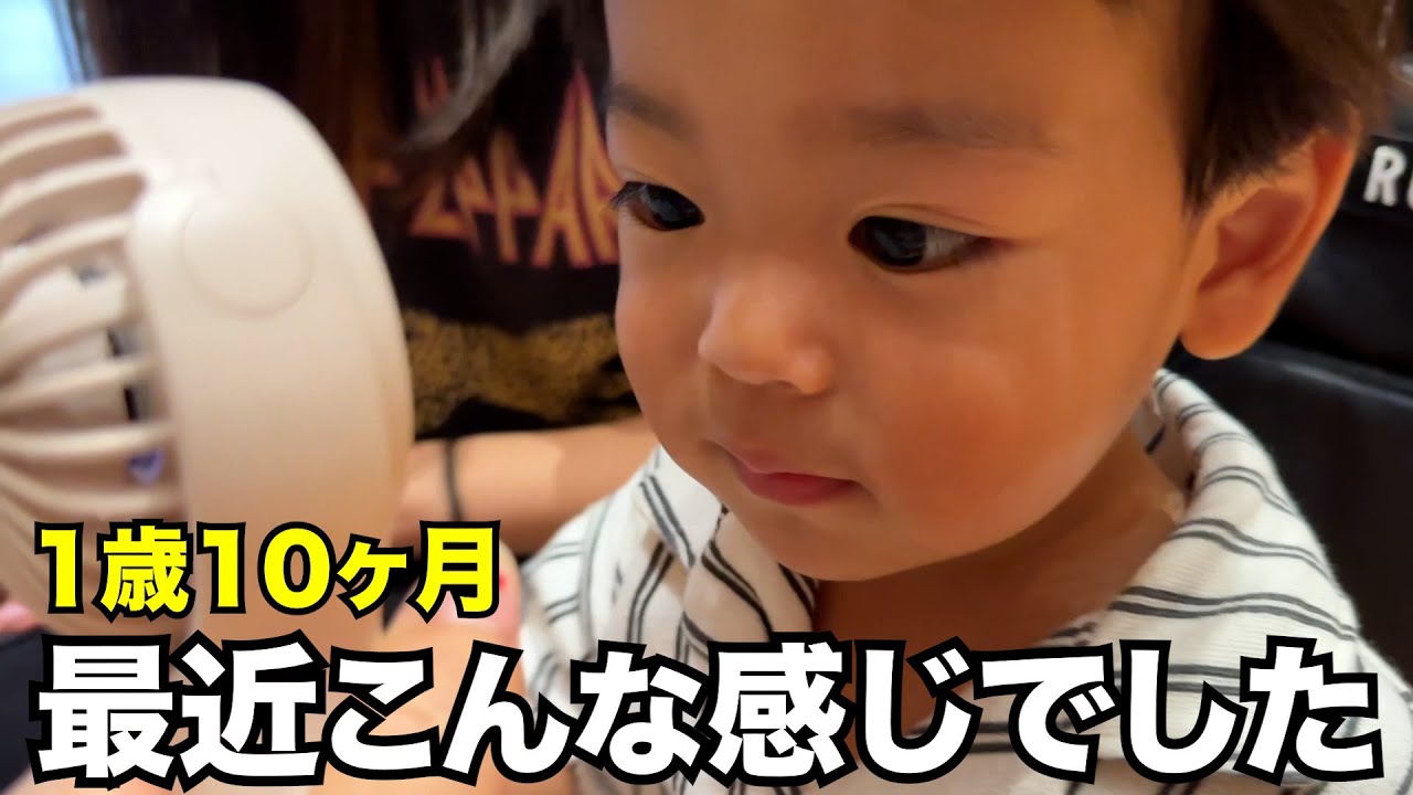 1歳10ヶ月男の子、最近の日常【シンママ】