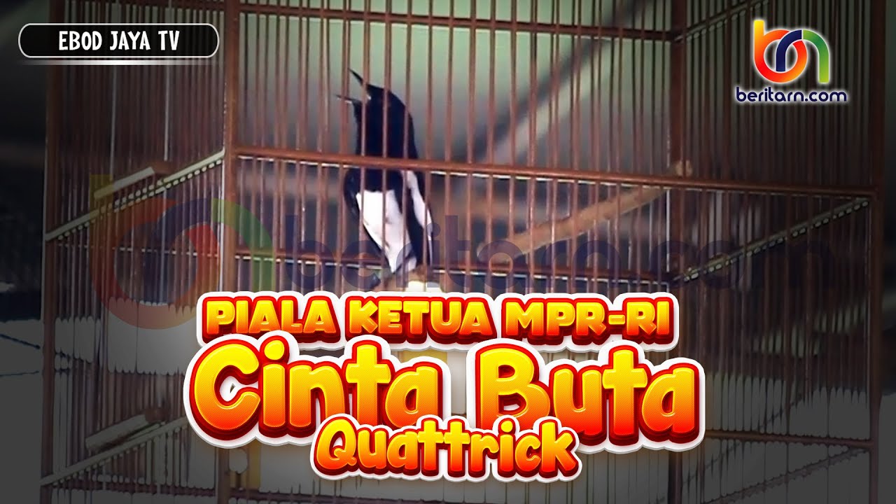 PIALA KETUA MPR-RI 😱TERNYATA BEGINI MATERI LAGUNYA??? 😱 KACER CINTA BUTA DWI SAMPIT QUATTRICK !!!