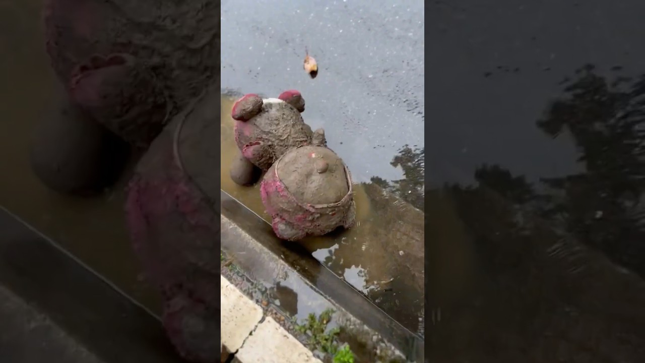 어? 저게 뭐야?😱 더러운 분홍색 봉제인형!? 🧸✨루피다