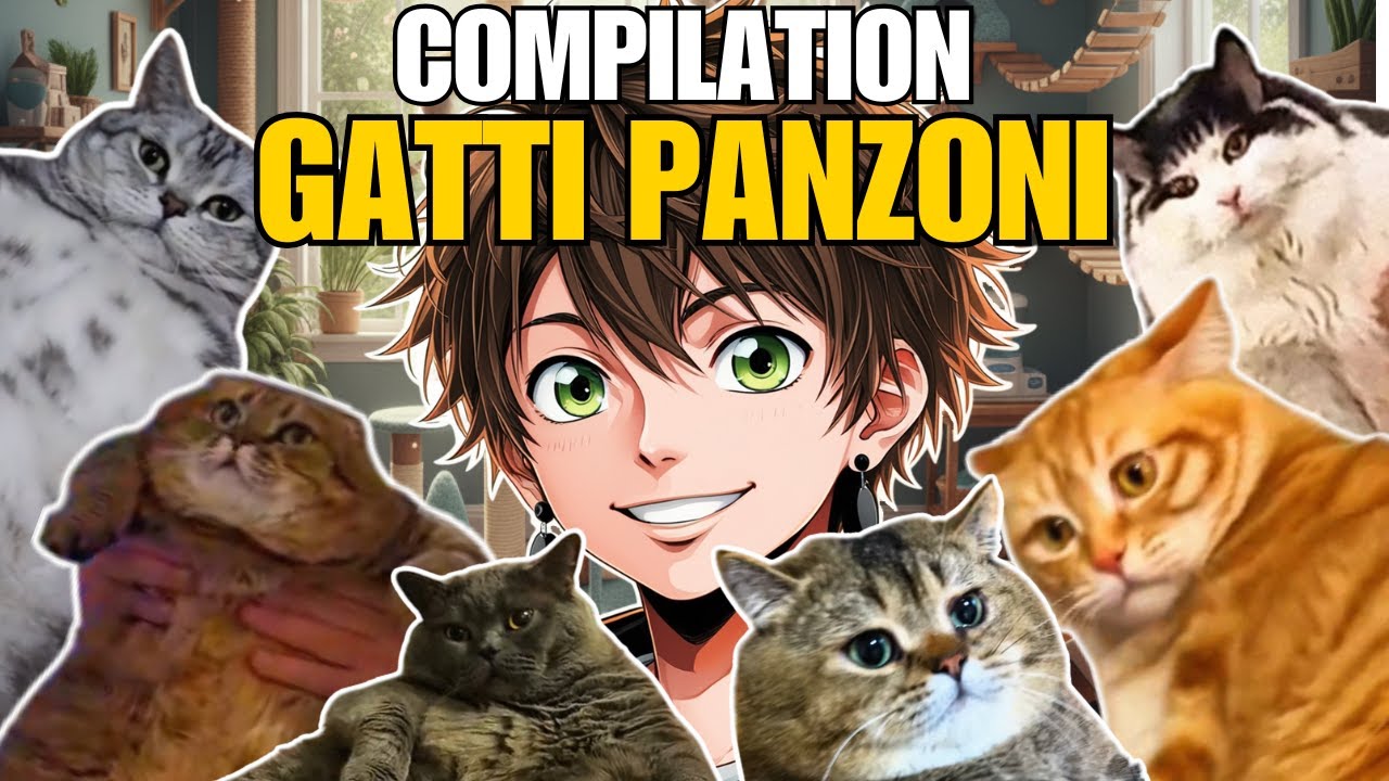 🎙️ Compilation GATTI PANZONI 🐱