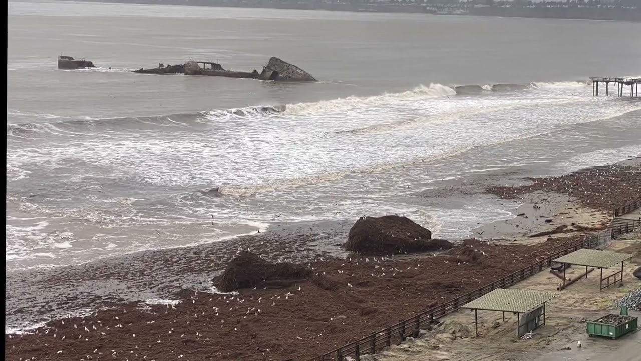 After the Storm II, Seacliff State Beach and Rio Flats Aptos, CA. 1/16/2023