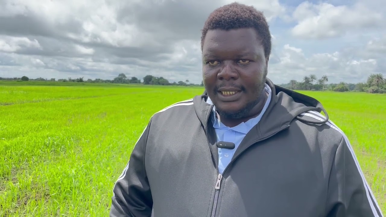 SLARiS ADB SUPPORT ON SEED RICE PRODUCTION IN SIERRA LEONE