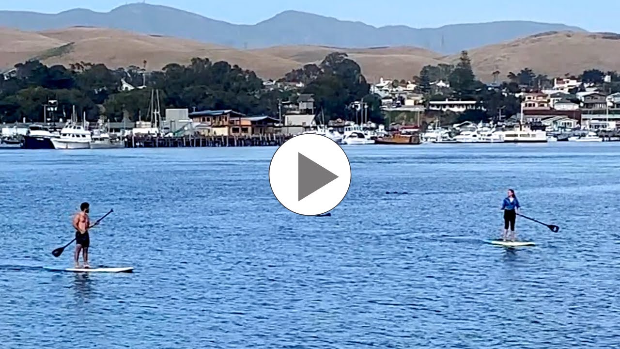 Morro Rock, CA - Morro Bay State Park - Adventure Guru