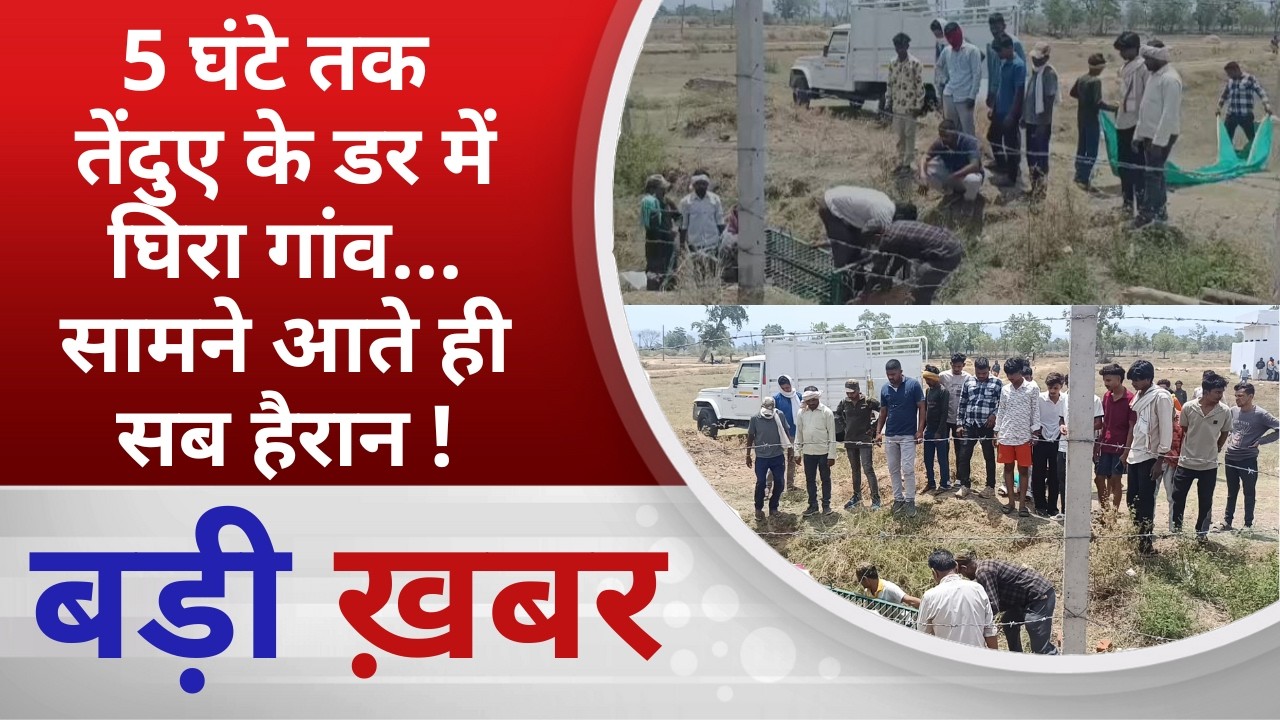 BALAGHAT NEWS: 5 घंटे तक तेंदुए के डर में घिरा गांव&hellip; सामने आते ही सब हैरान ! PADMESH NEWS BALAGHAT
