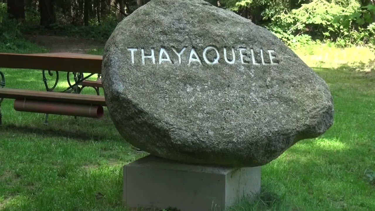 Vom Kuenring-Erbe zur Thayaquelle: Eine historische Reise durch Schweiggers und Marbach am Walde
