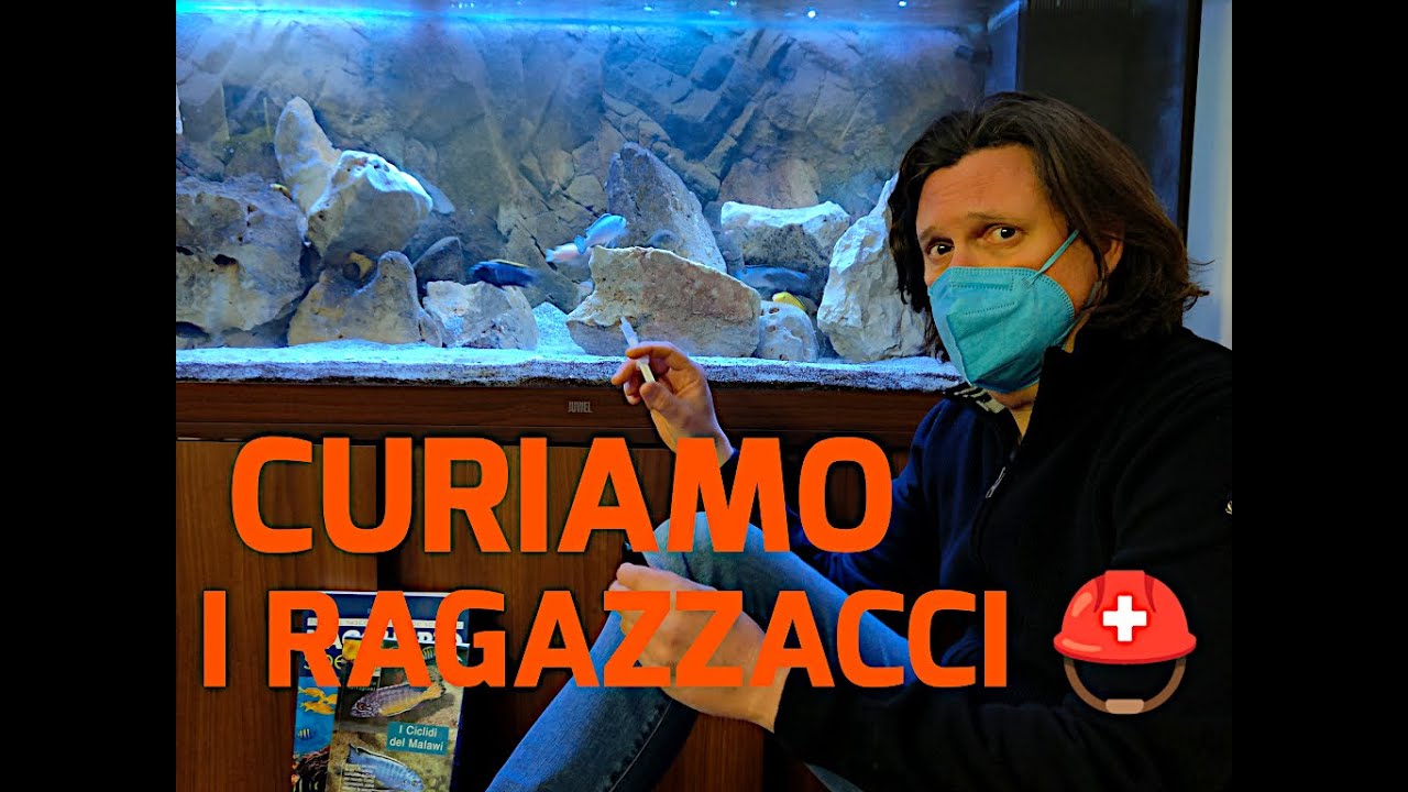 MALATTIE DEI PESCI D'ACQUARIO: intervenire subito anche senza medicine con la cura dei bagni di sale