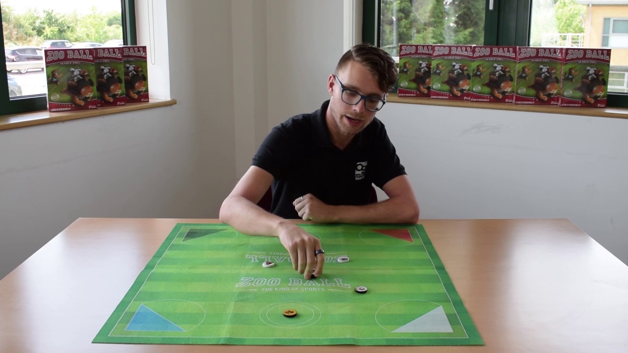 Zoo Ball - 2 Player Rules Explanation