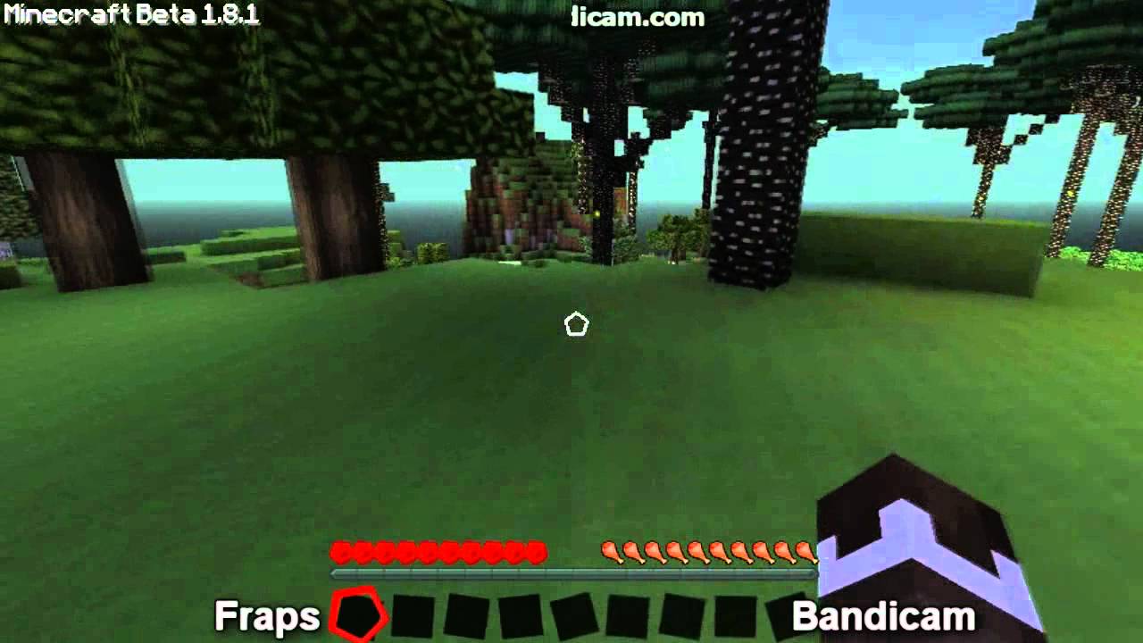 Bandicam vs Fraps (Split screen) HD!!!