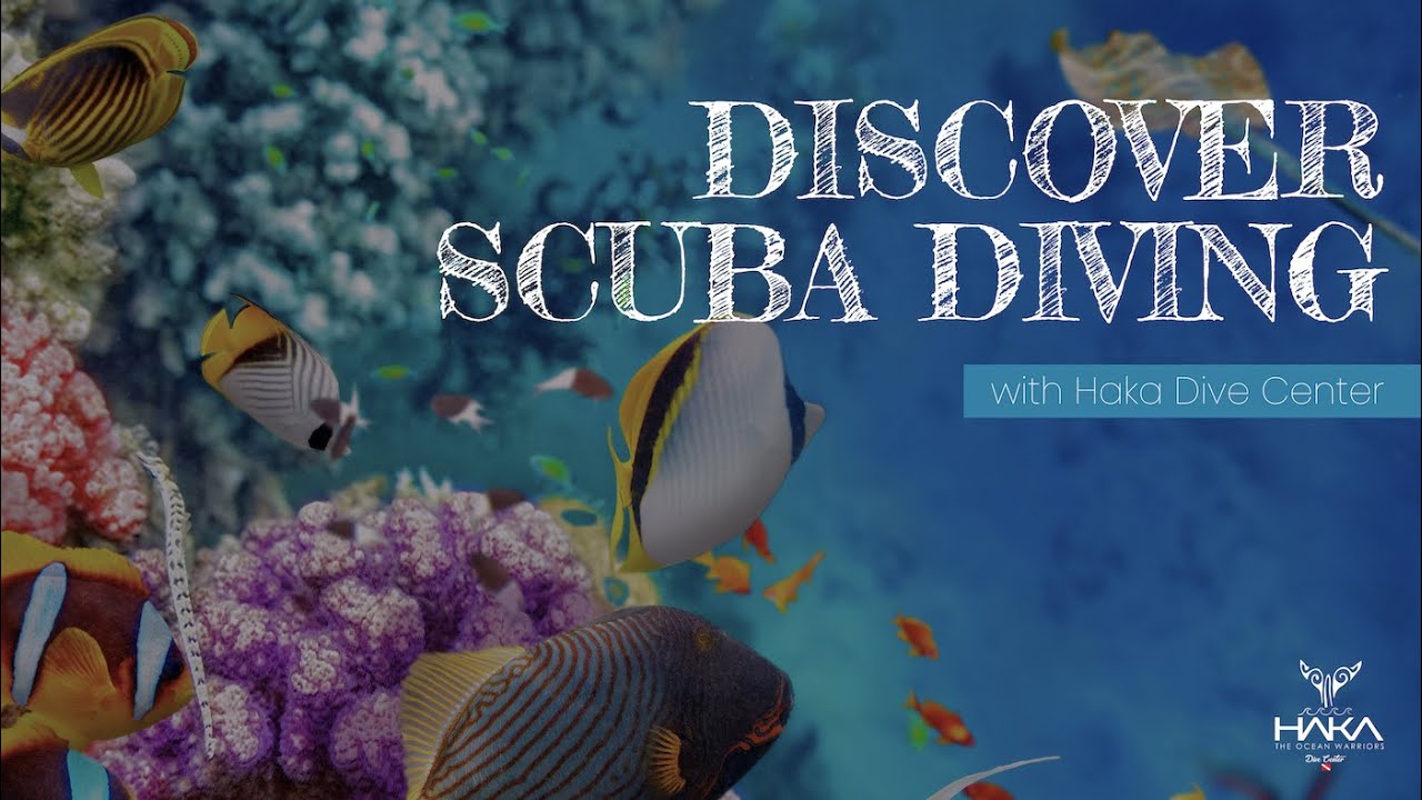 Discover Scuba Diving - Haka Dive Center - Panglao, Bohol, Philippines