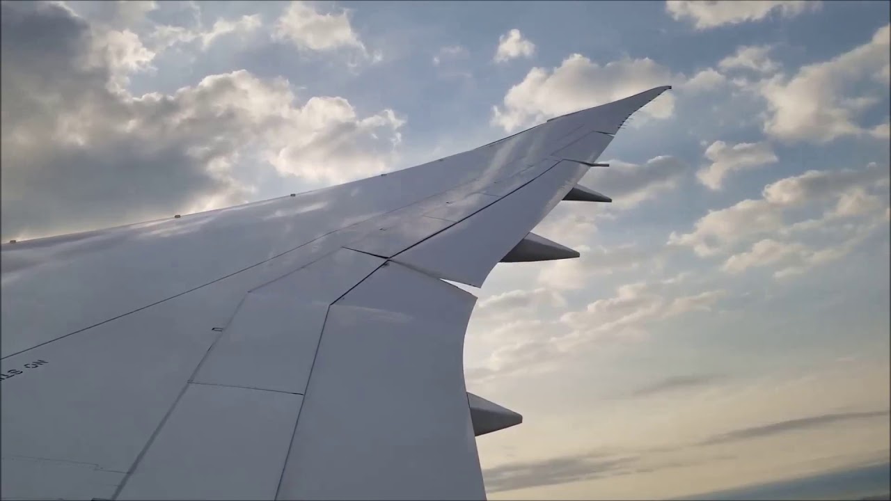 United Boeing B787-10 Newark (EWR) - Los Angeles (LAX)
