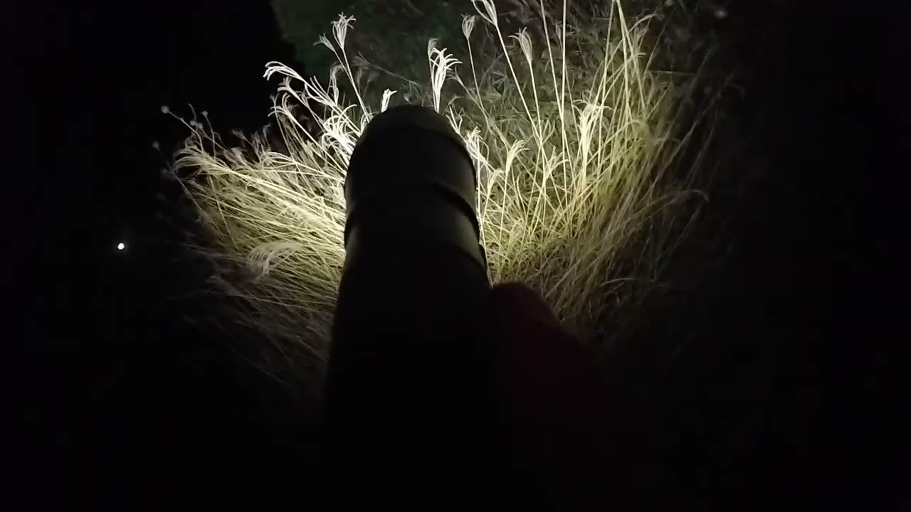 Exploracion urbana y cacería nocturna
