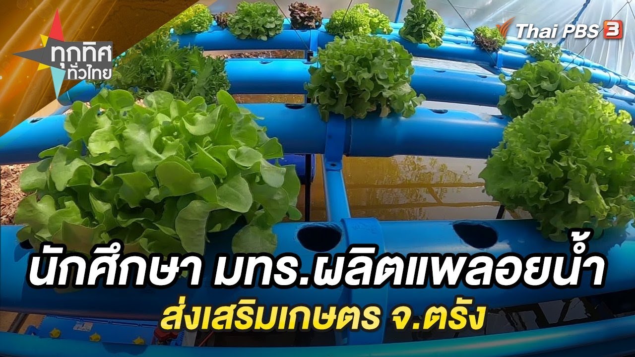 นักศึกษา มทร.ผลิตแพลอยน้ำส่งเสริมเกษตร จ.ตรัง | ทุกทิศทั่วไทย