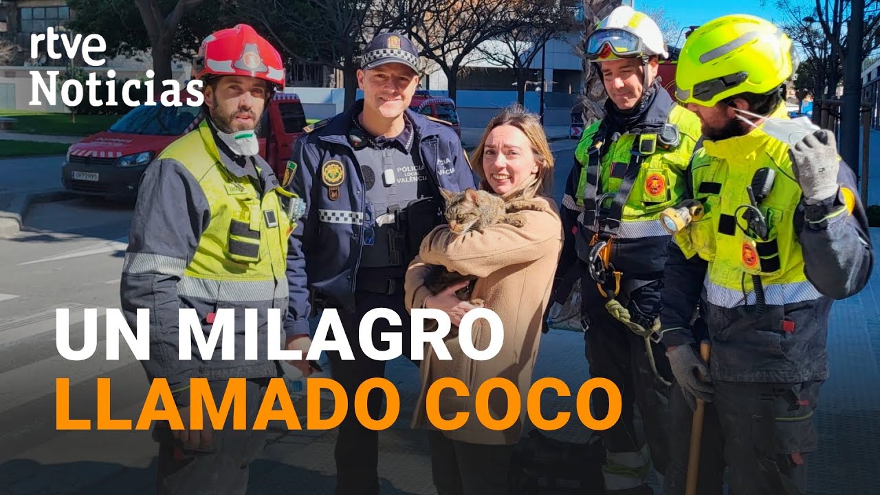 INCENDIO VALENCIA: Los BOMBEROS RESCATAN a un GATO del EDIFICIO de CAMPANAR | RTVE Noticias