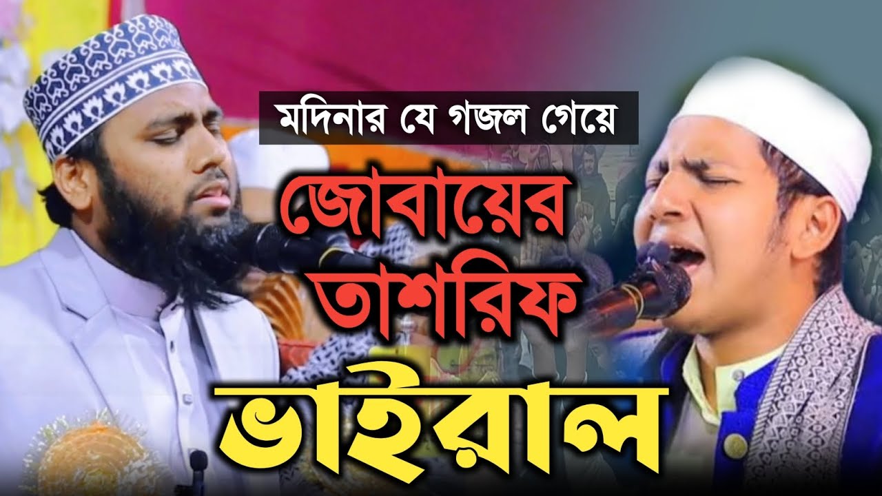 মদিনার এই গজলে গেয়ে জোবায়ের আহমেদ তাশরিফ ভাইরাল | মুফতি ইসরাফিল আলম সাঈফী