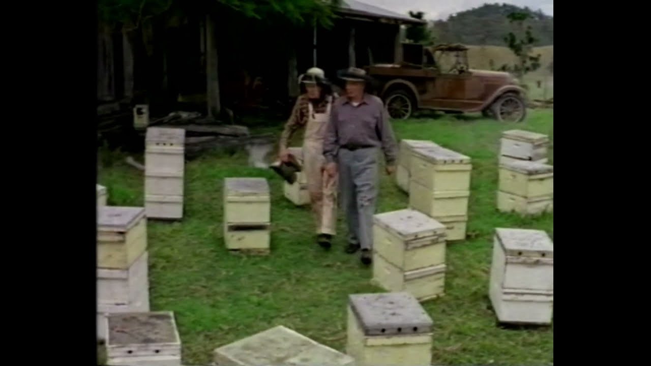 Barnes' Honey Commercial - 1992 (Australia)