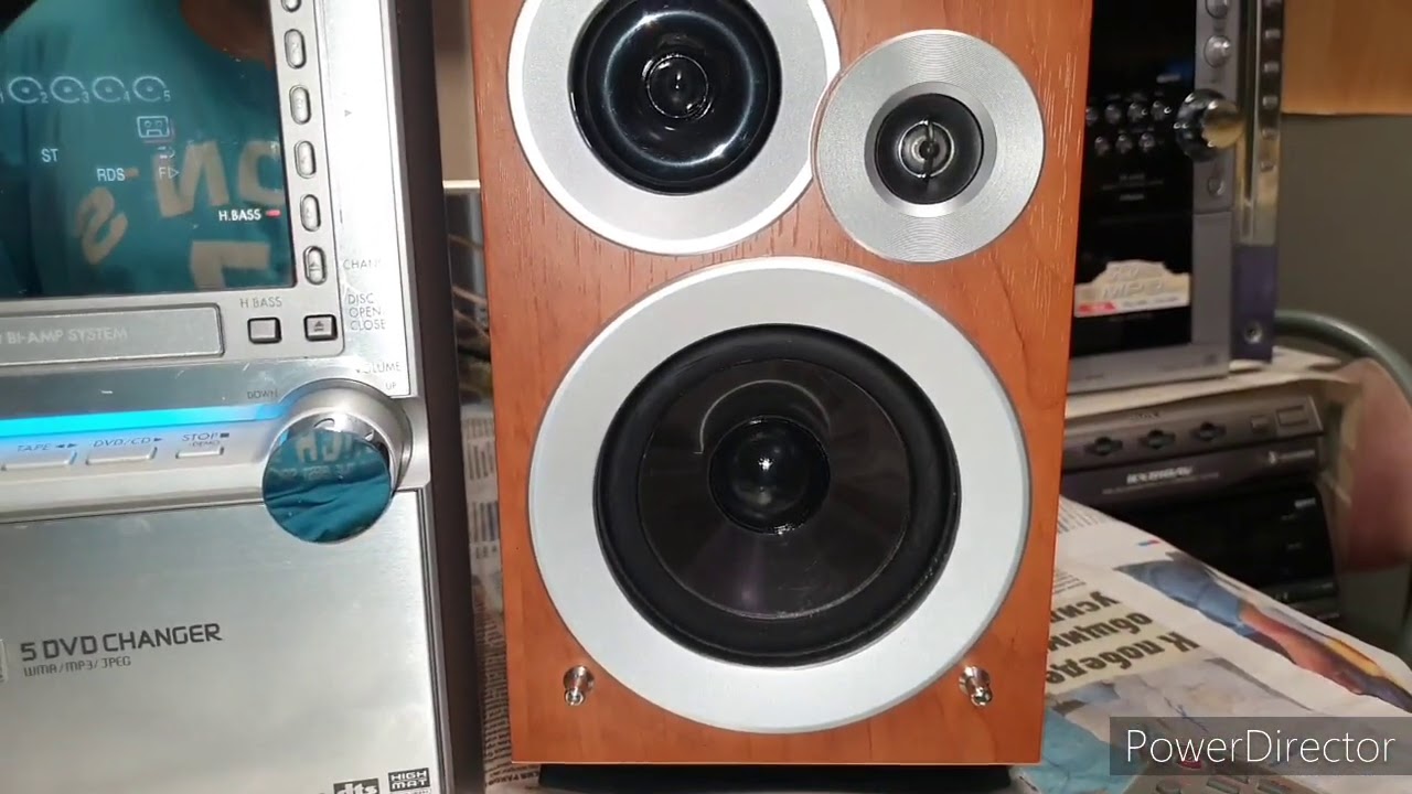 Моя любимая модель Panasonic SA-PM91Dvd.№518