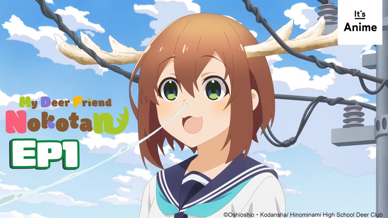 My Deer Friend Nokotan S1:E1 • Girl Meets Deer | MULTI-SUB [#ItsAnime]