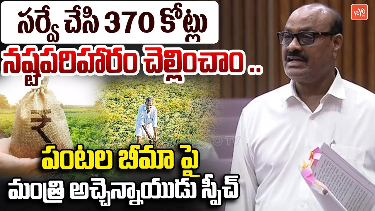 Minister Atchannaidu Speech On CROP INSURANCE | AP Legislative Council | Chandrababu | YOYOTV