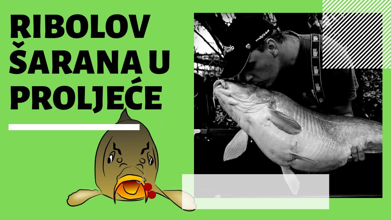 Ribolov šarana u proljeće - 5 savjeta za početnike i znalce