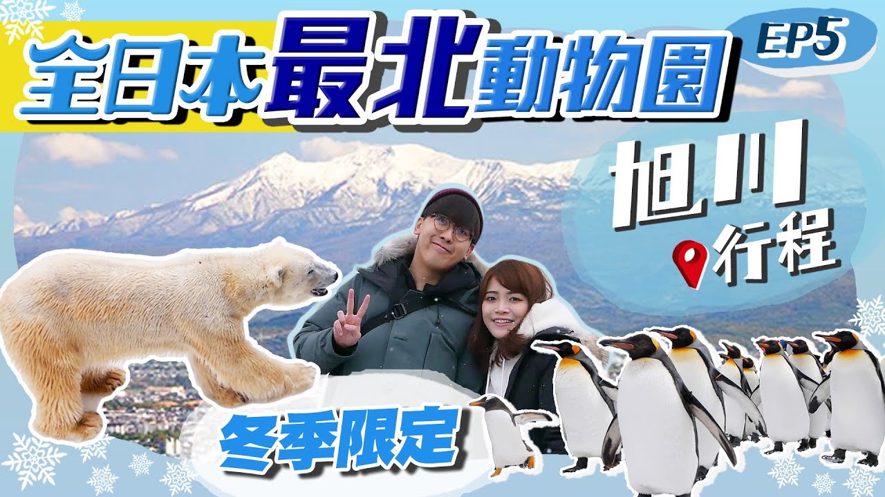 【北海道自由行】旭川網走快閃行程｜全日本最北的動物園！冬季限定企鵝散步｜北海道Vlog EP5｜Kiki and May