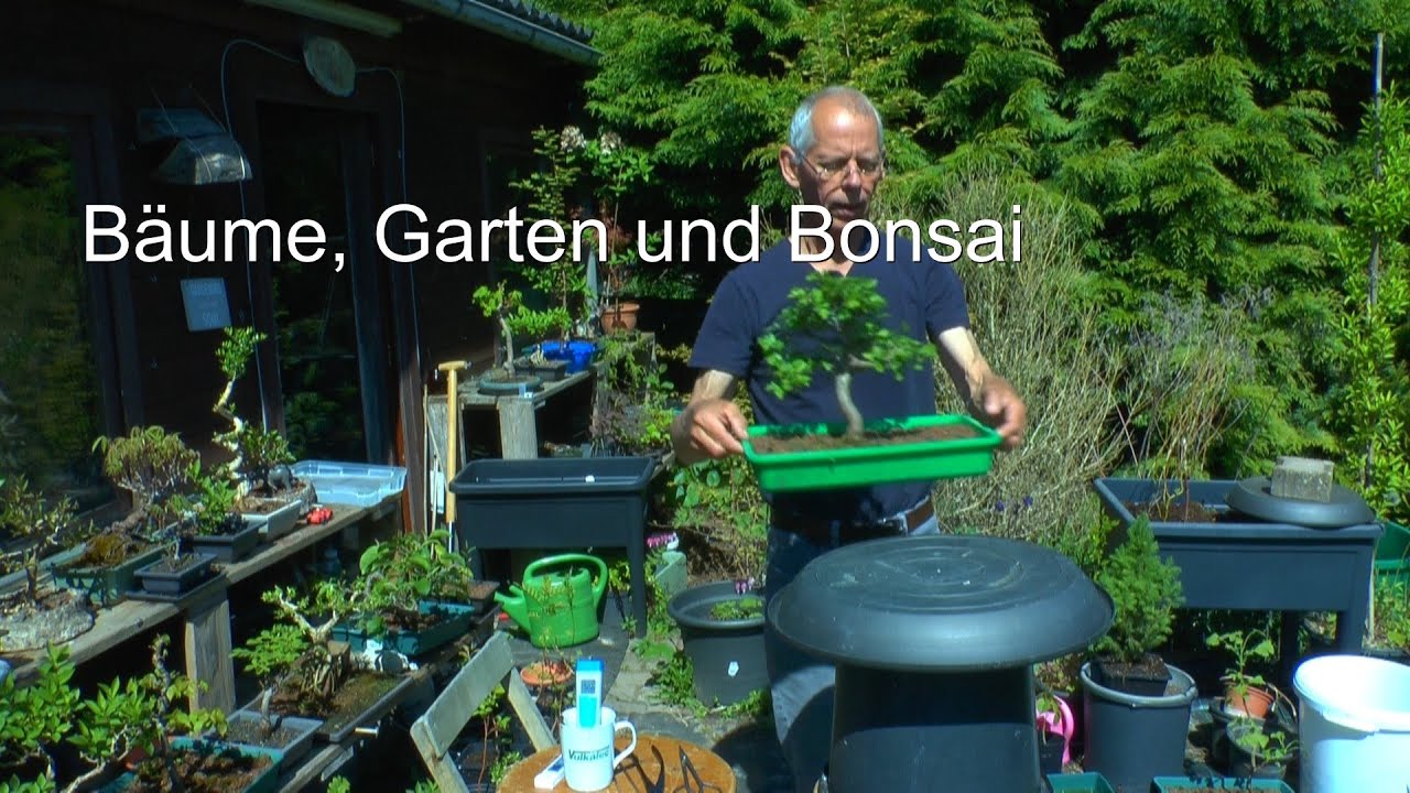 Garten und Bonsai. Moor und Pflanzenpflege im Garten auch Dünger und Selbstbewässerung