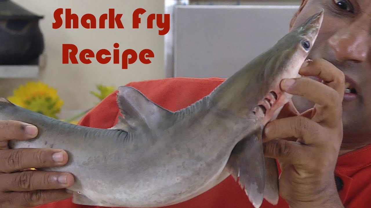 Baby Shark Fish  Catch & Cook Shark  Recipe - Scrambled Fish Sora Puttu  - Fish Burji  By Vahchef