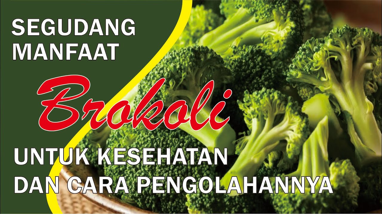 KHASIAT & MANFAAT BROKOLI UNTUK KESEHATAN YANG HARUS KAMU KETAHUI