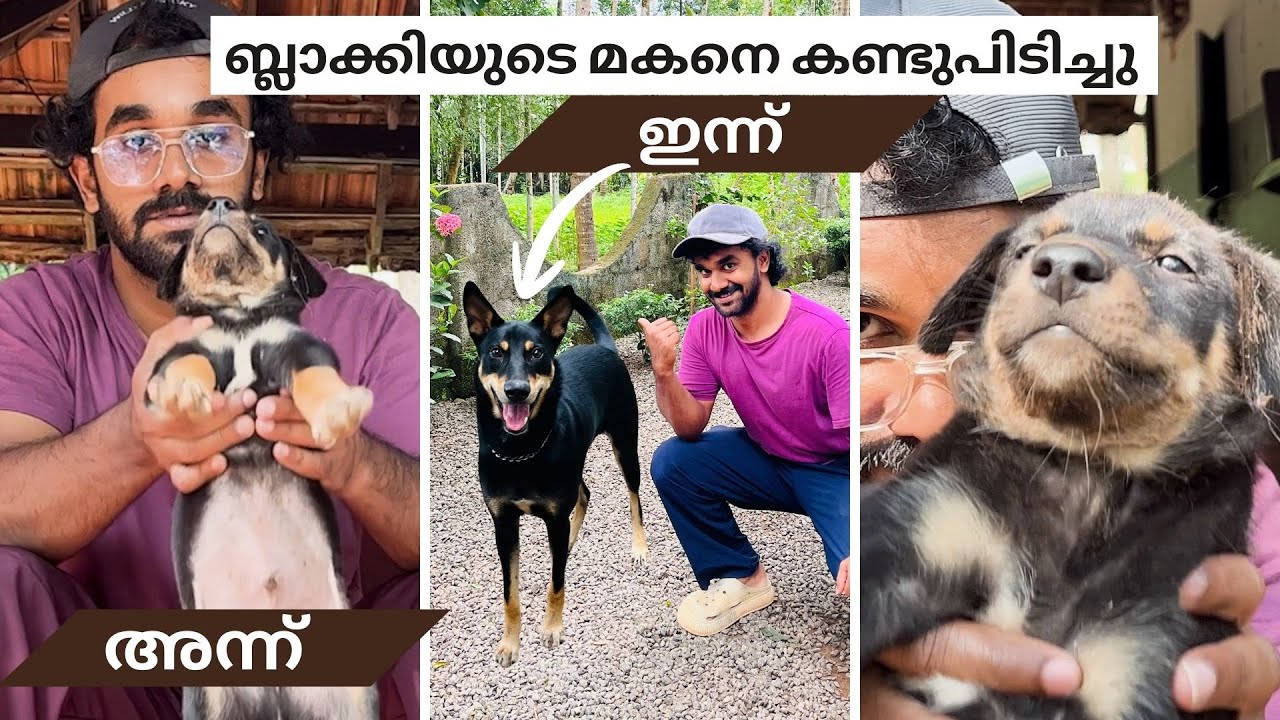 മോനെ കണ്ടുപിടിച്ചു  😍 | ബ്ലാക്കിയുടെ മകൻ വളർന്ന് വലിയ ആളായി