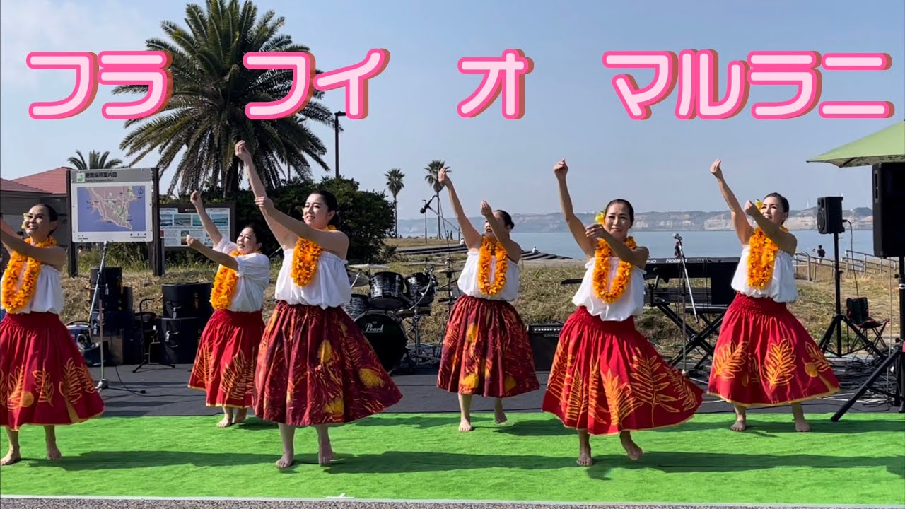 【フラダンス　フラ　フイ　オ　マルラニ】銚子い一万博inマリーナ　2023年11月3日　#フラ　#フラダンス